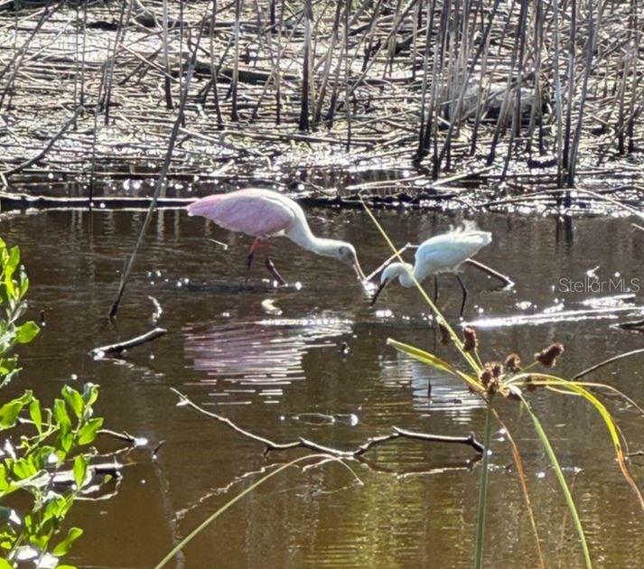 SHORES OF LONG BAYOU CONDO - Residential