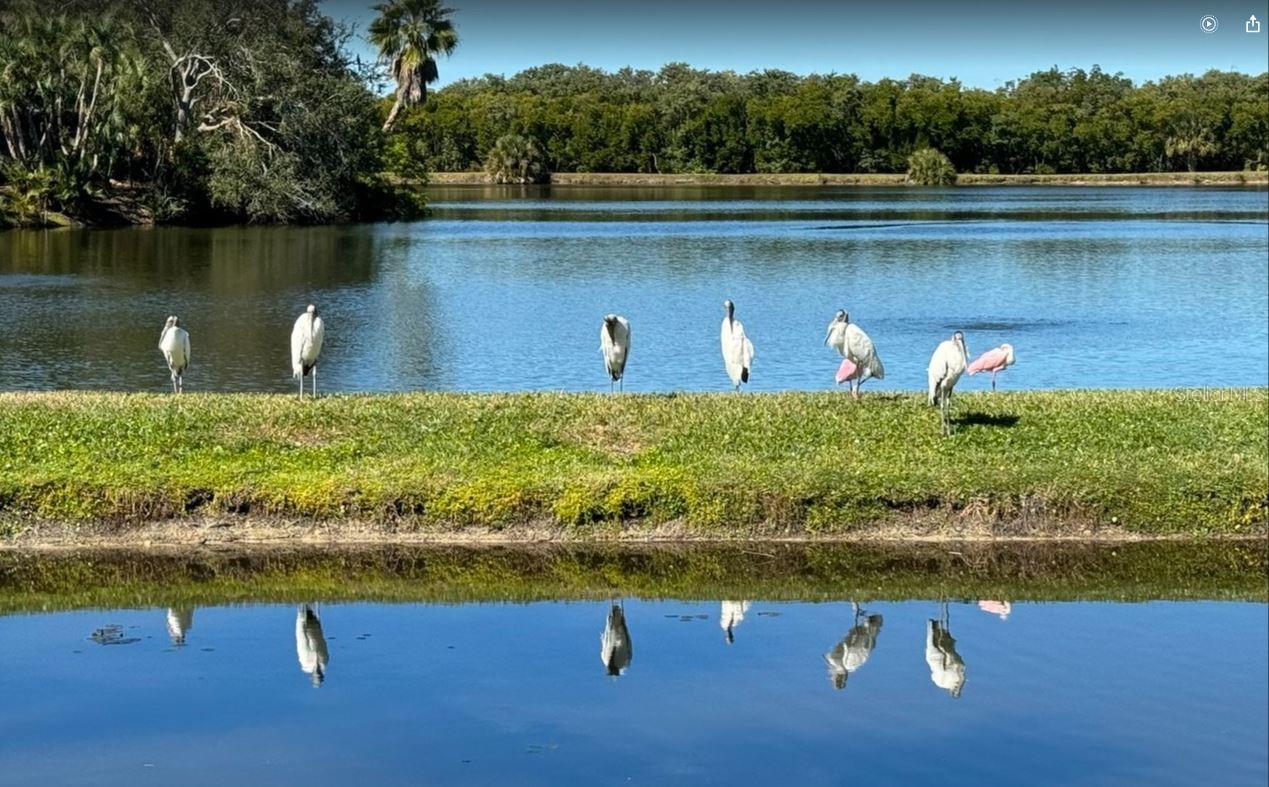 SHORES OF LONG BAYOU CONDO - Residential