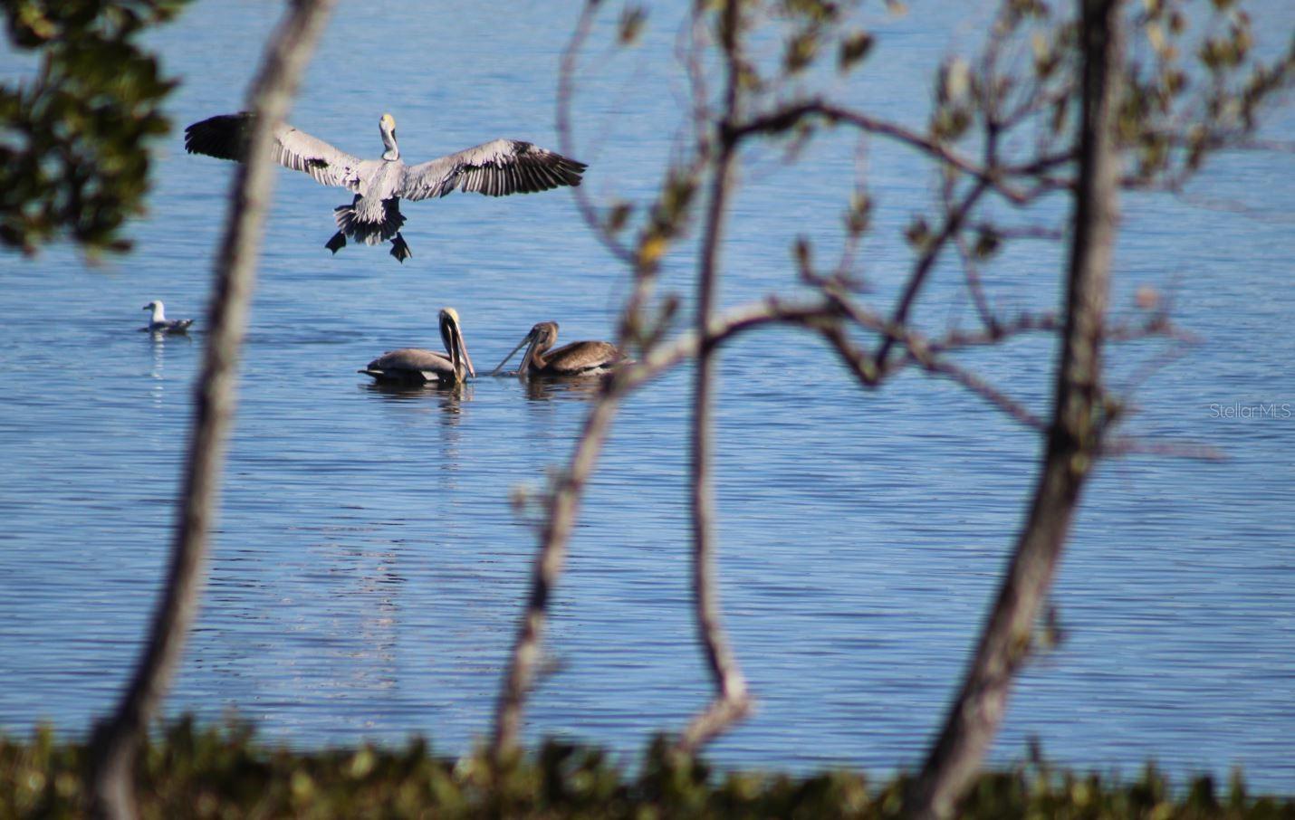 SHORES OF LONG BAYOU CONDO - Residential
