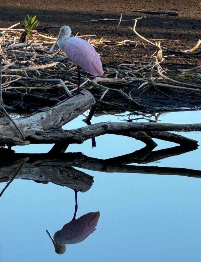 SHORES OF LONG BAYOU CONDO - Residential