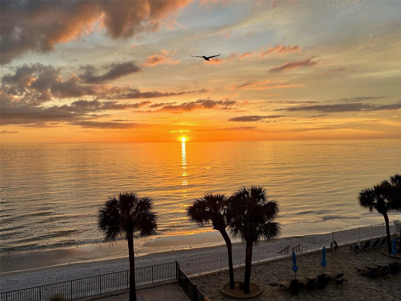 REDINGTON PLACE CONDO - Residential