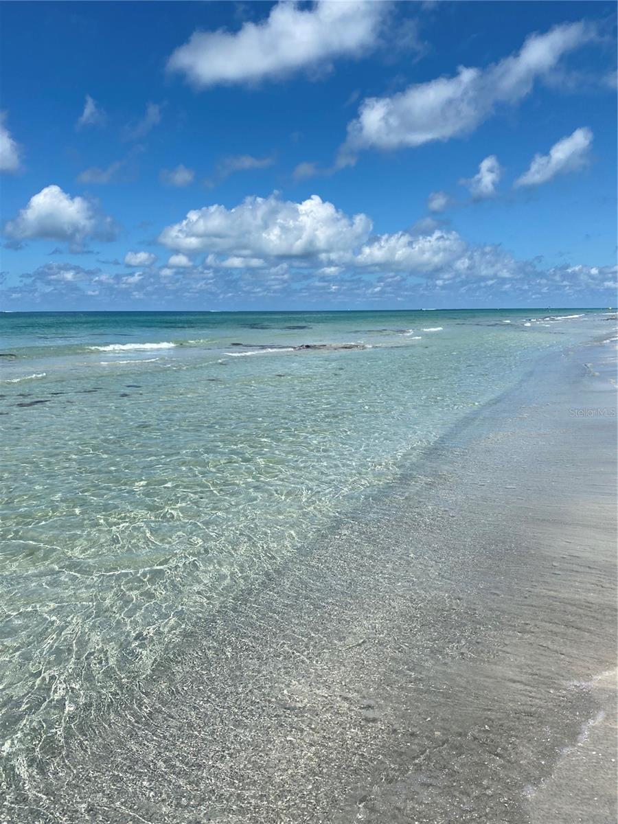 REDINGTON PLACE CONDO - Residential