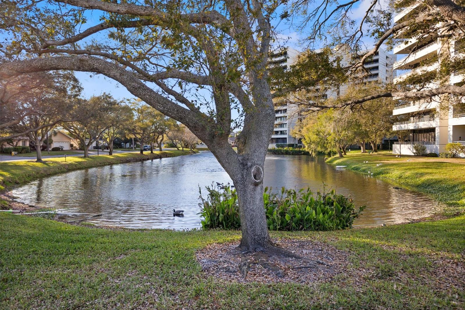PELICAN BAY YACHT CLUB CONDO BLDG A - Residential