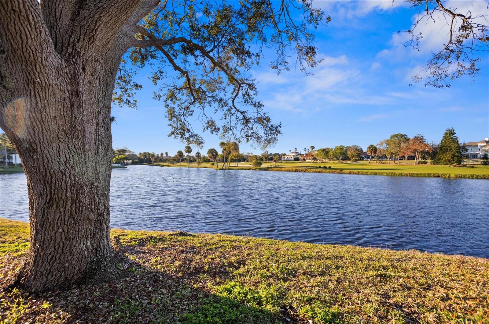 PELICAN BAY YACHT CLUB CONDO BLDG A - Residential