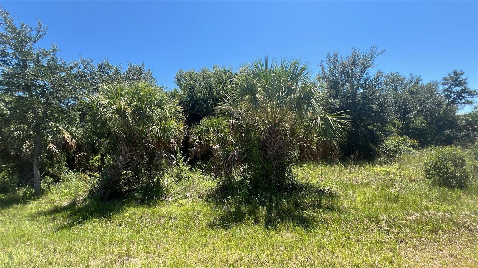Excellent Investment Opportunity in Port Charlotte – 0.23-Acre Lot
Discover the perfect opportunity to own a 0.23-acre lot in the thriving community of Port Charlotte, Florida. This property offers a prime location with excellent accessibility, making it an ideal spot to build your dream home or hold as a smart investment for the future.
Situated just minutes from a main road, this lot ensures easy connectivity to all that Port Charlotte has to offer. Families will appreciate being close to quality schools, while the convenience of nearby shopping centers, dining options, and essential services adds to the property’s appeal.
Whether you are looking to settle in a peaceful yet well-connected neighborhood or seeking an investment in one of Florida’s most desirable growing areas, this lot is an outstanding choice. With its great location and future potential, this property won’t last long.