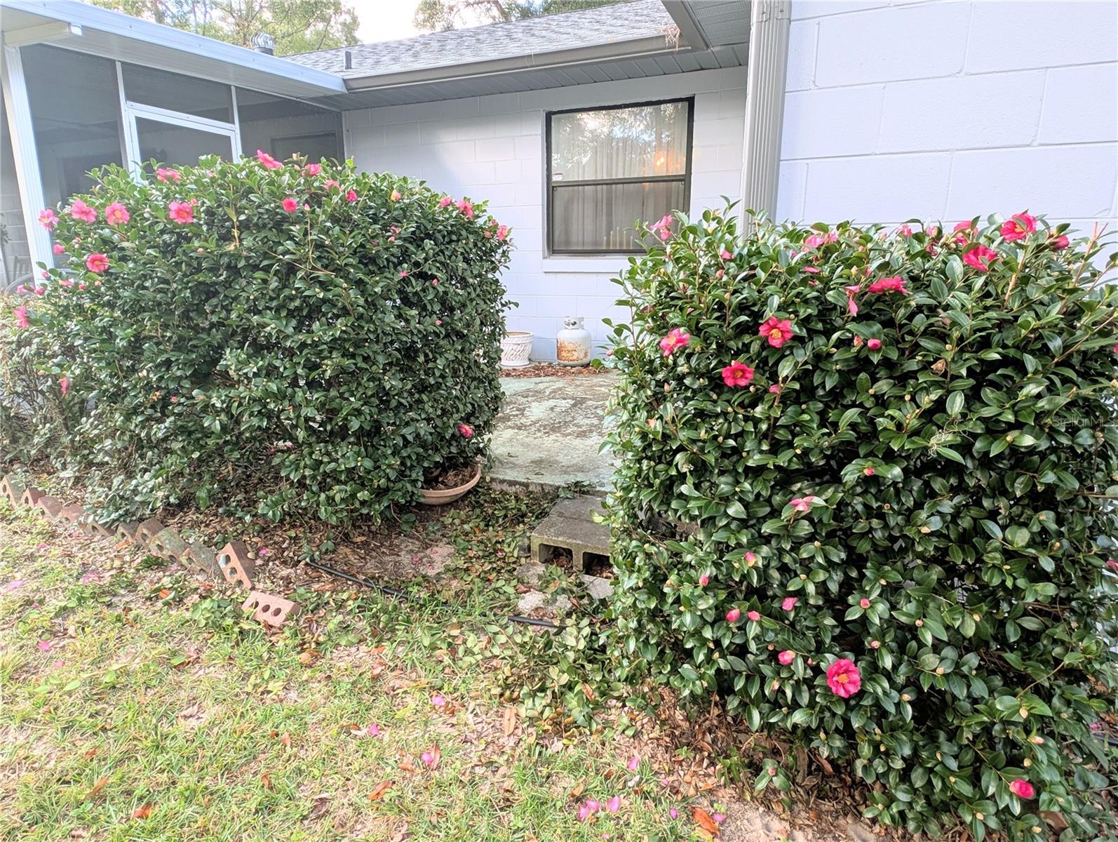 SUGAR HILL ESTATE - Residential