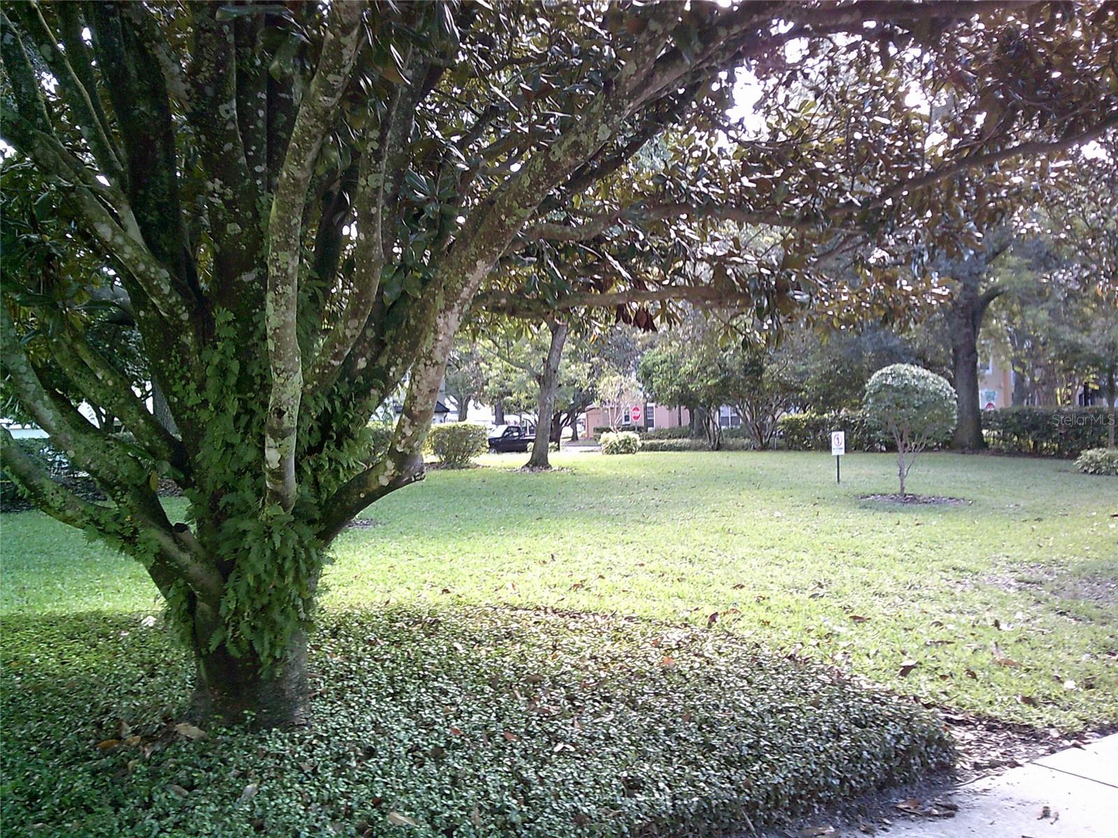 VISTAS/STONEBRIDGE PLACE PH 08 - Residential