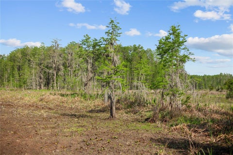 Tiny photo for 9650 Cockatoo Lane, Groveland, FL 34736 (MLS # O6408839)