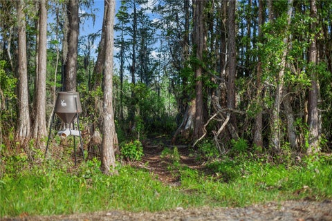 Tiny photo for 9650 Cockatoo Lane, Groveland, FL 34736 (MLS # O6408839)