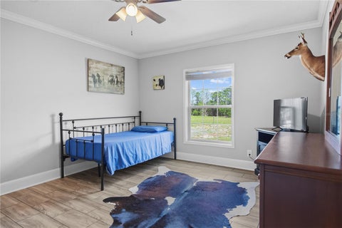 Tiny photo for 9650 Cockatoo Lane, Groveland, FL 34736 (MLS # O6408839)