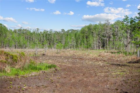 Tiny photo for 9650 Cockatoo Lane, Groveland, FL 34736 (MLS # O6408839)