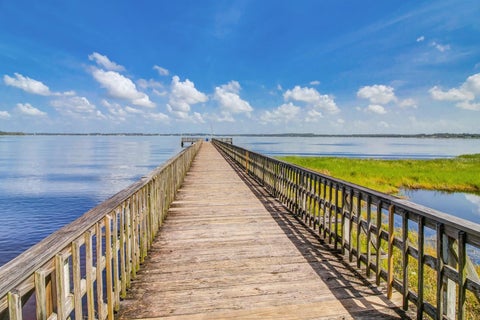 Tiny photo for 9650 Cockatoo Lane, Groveland, FL 34736 (MLS # O6408839)