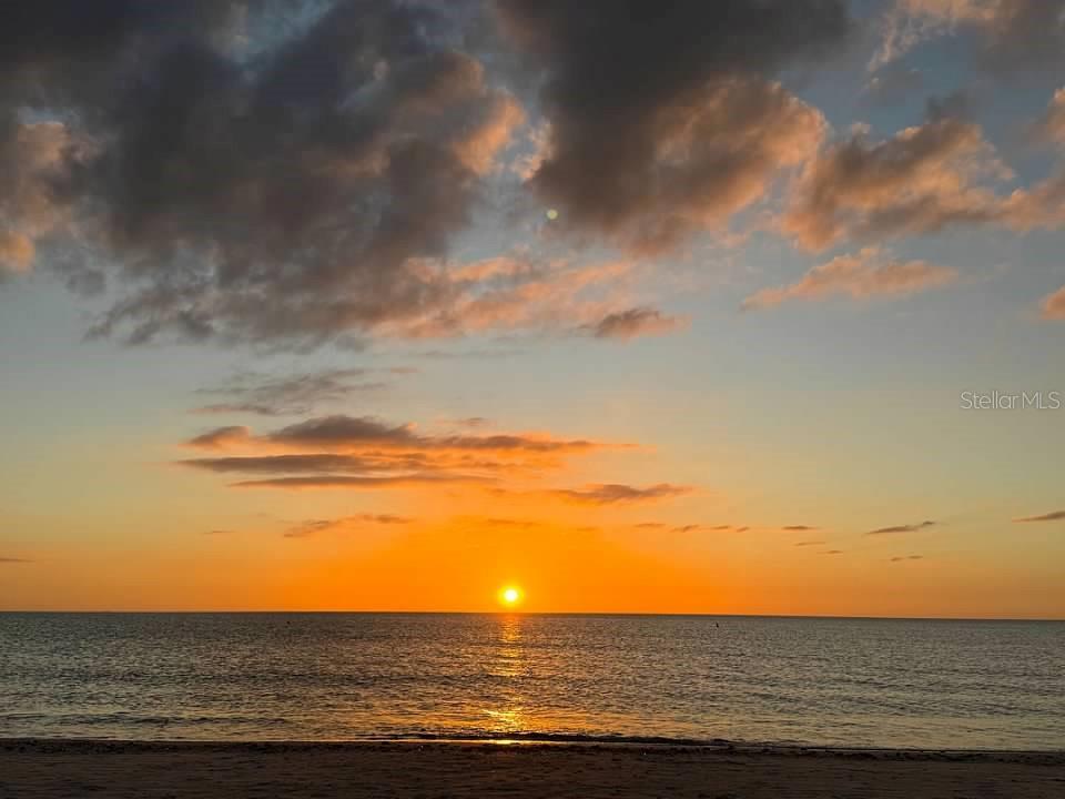 MARINA PARK - Residential