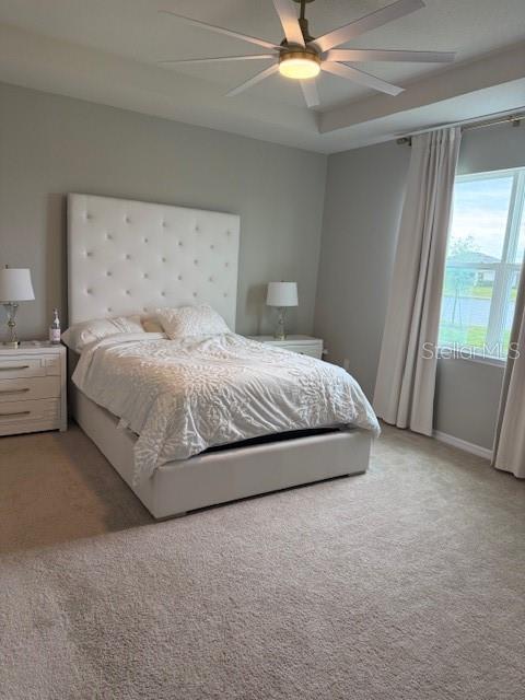 STAR FARMS PH V SUBPHASES A B - Residential