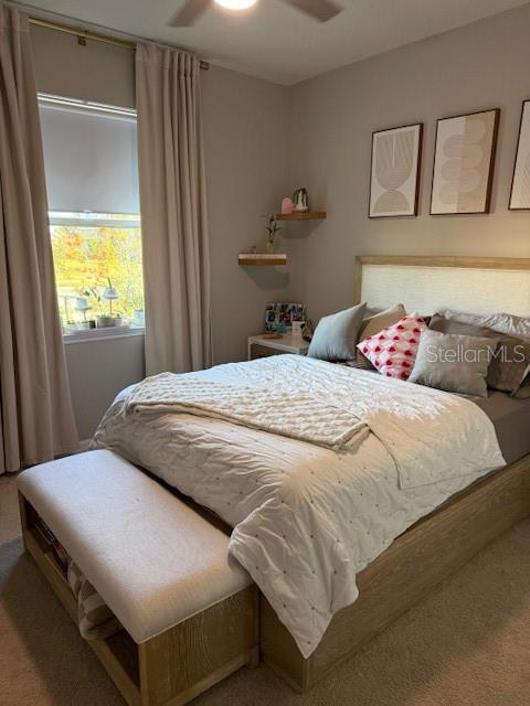 STAR FARMS PH V SUBPHASES A B - Residential