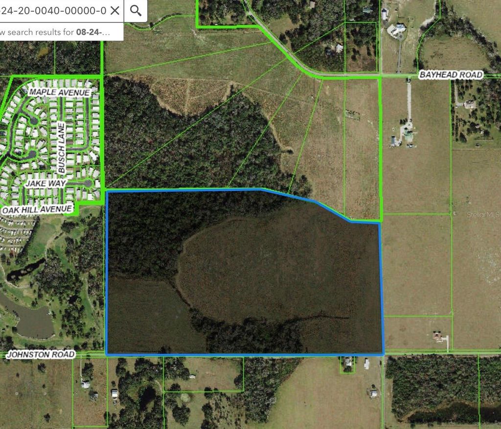 Photo of Johnston Road, Dade City, FL 33523 (MLS # TB8496185)