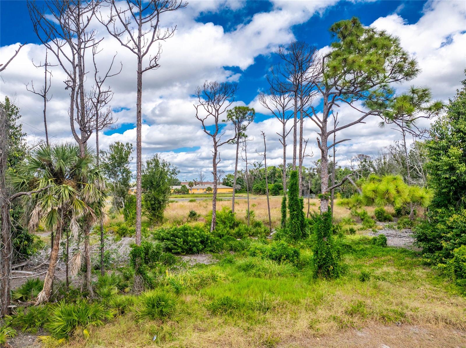 ENGLEWOOD GARDENS 01 14A PT O - Land