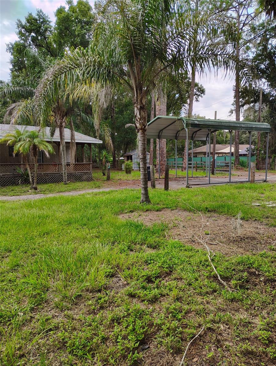 1741 BANANA ROAD