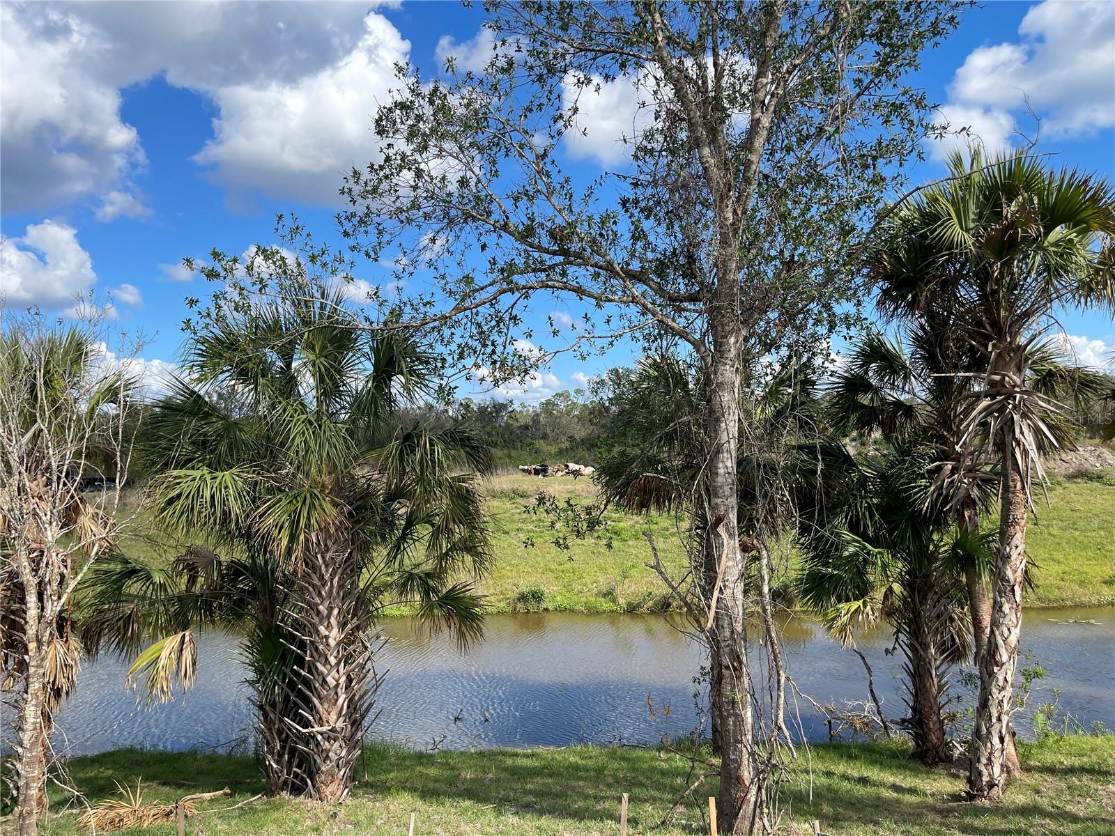 PORT CHARLOTTE 16TH ADD 01 PT REP - Residential