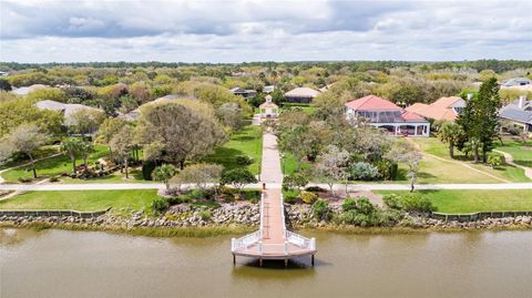 A home in PALM COAST