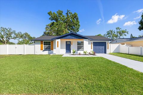 3709 DANNY BRYAN BOULEVARD TAMPA FL 33619