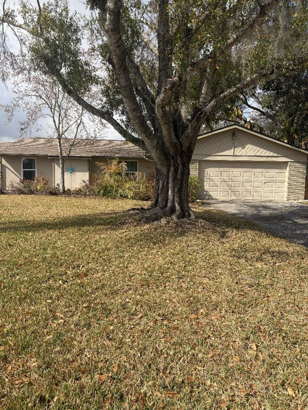 Photo of 408 Lakeview Drive, Oldsmar, FL 34677 (MLS # TB8478309)