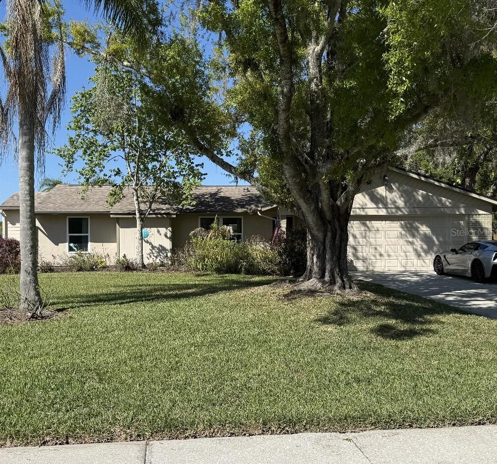 Photo of 408 Lakeview Drive, Oldsmar, FL 34677 (MLS # TB8478309)