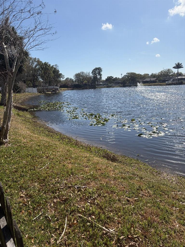 MANORS OF FOREST LAKES THE - Residential