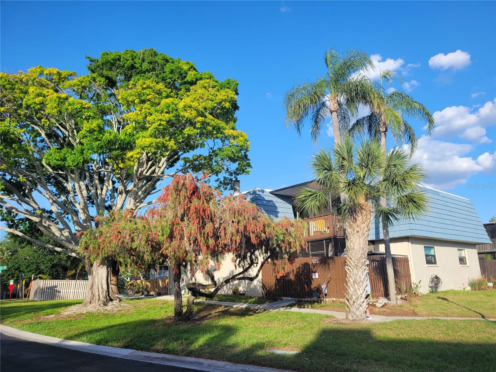 CLEARWATER COVE - Residential