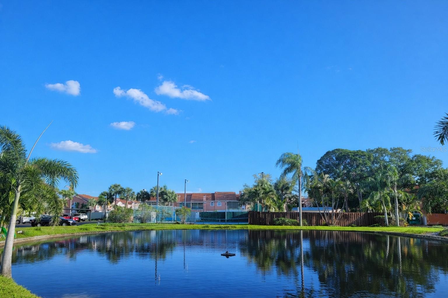 CLEARWATER COVE - Residential