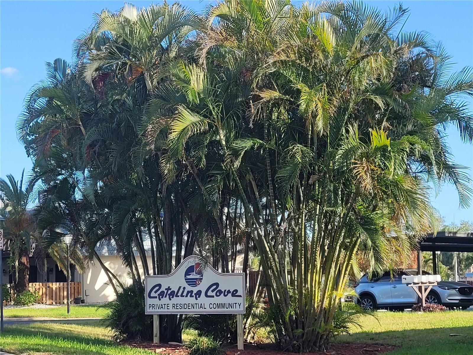 14521 CATALINA CIRCLE