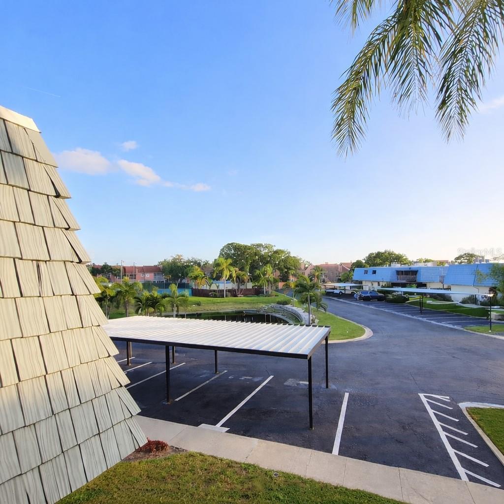 CLEARWATER COVE - Residential