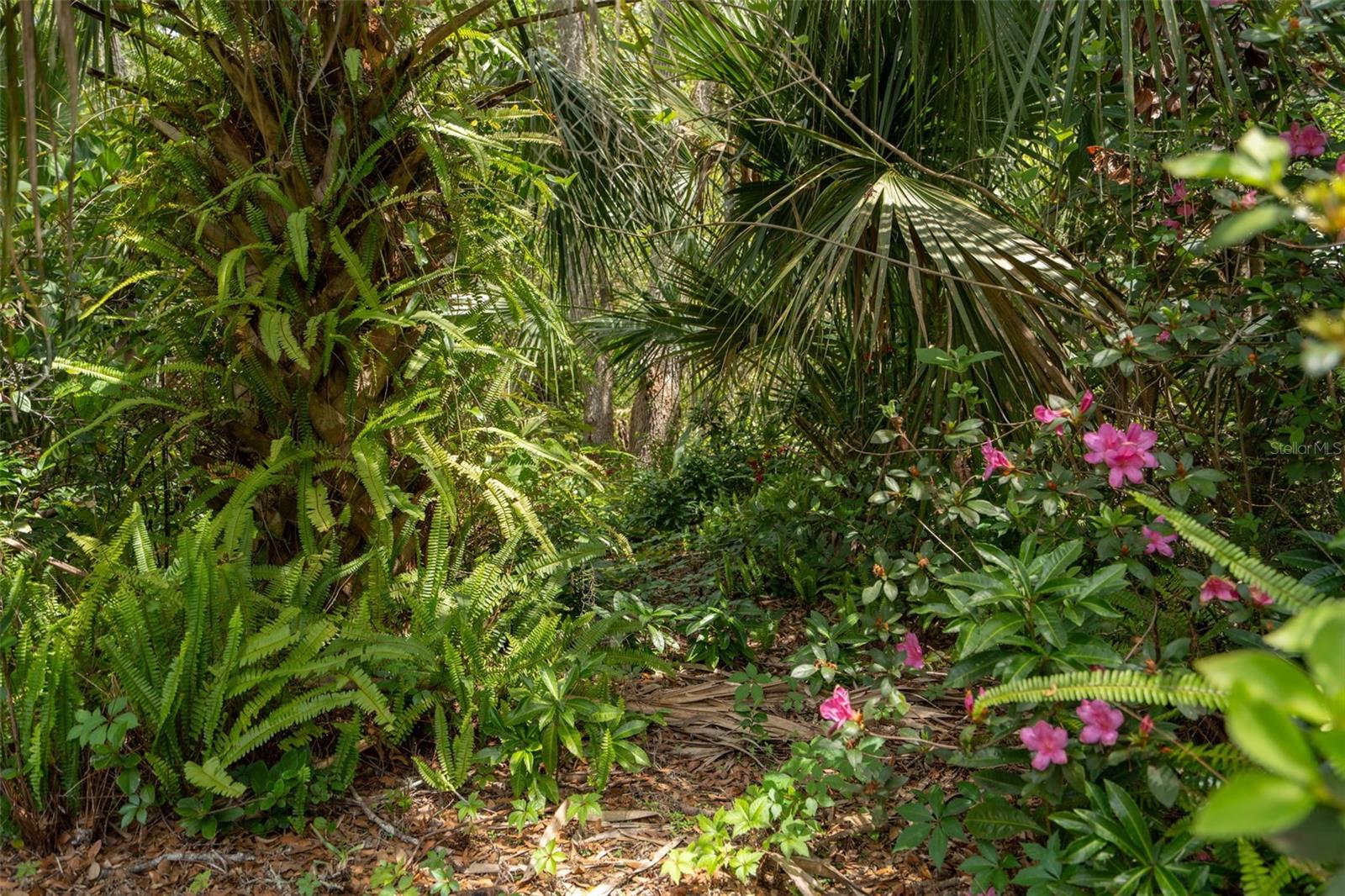 TRILBY BEND - Residential