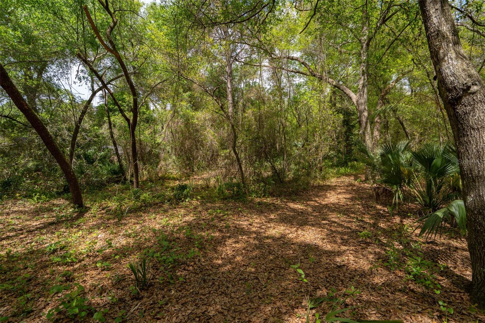 TRILBY BEND - Residential