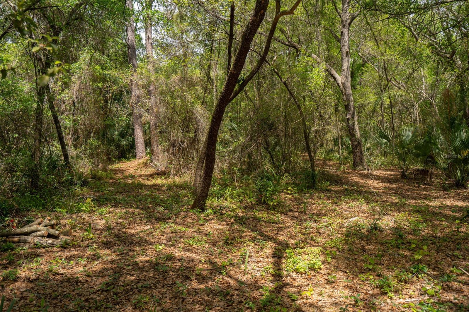 TRILBY BEND - Residential