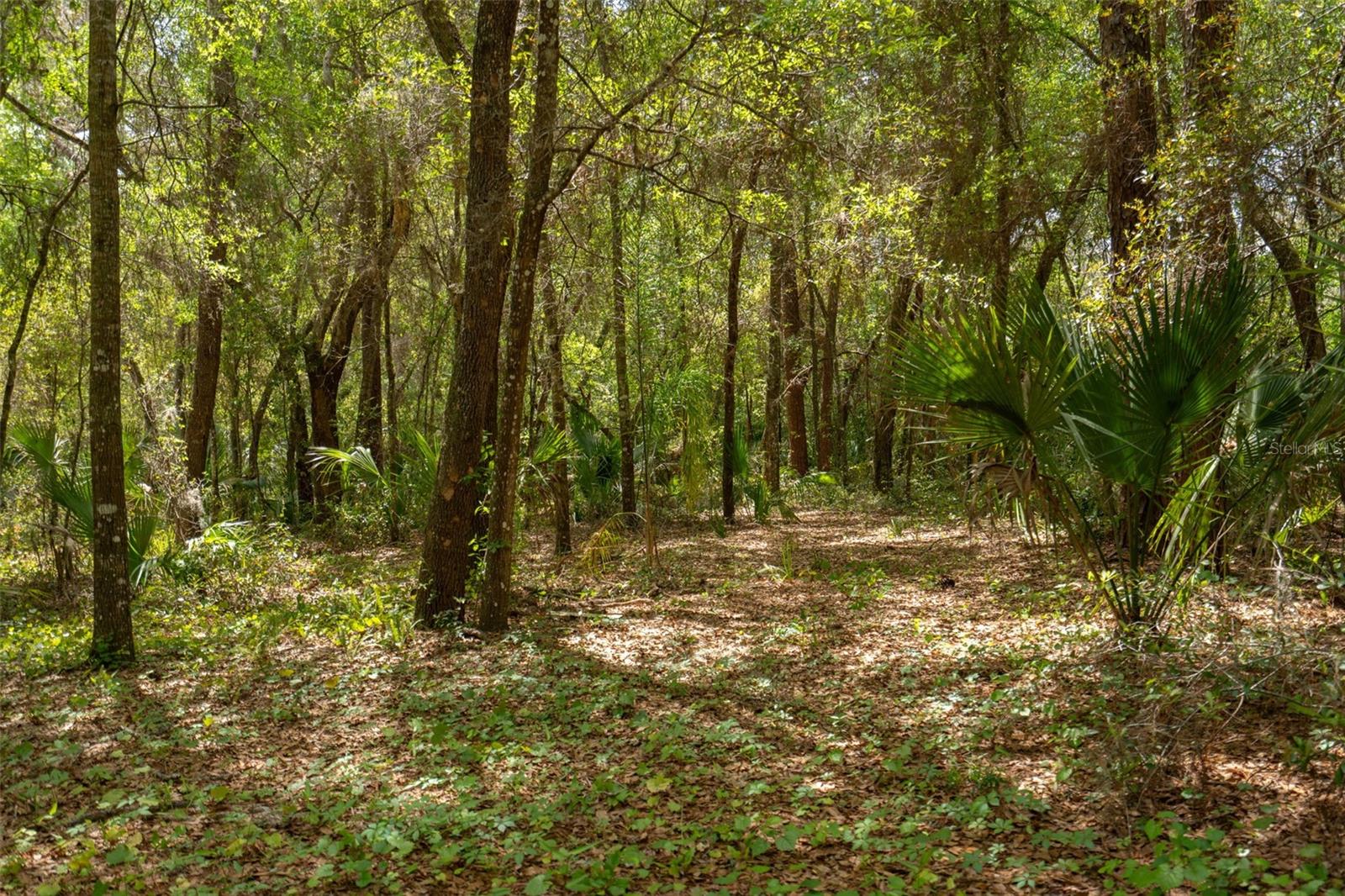 TRILBY BEND - Residential