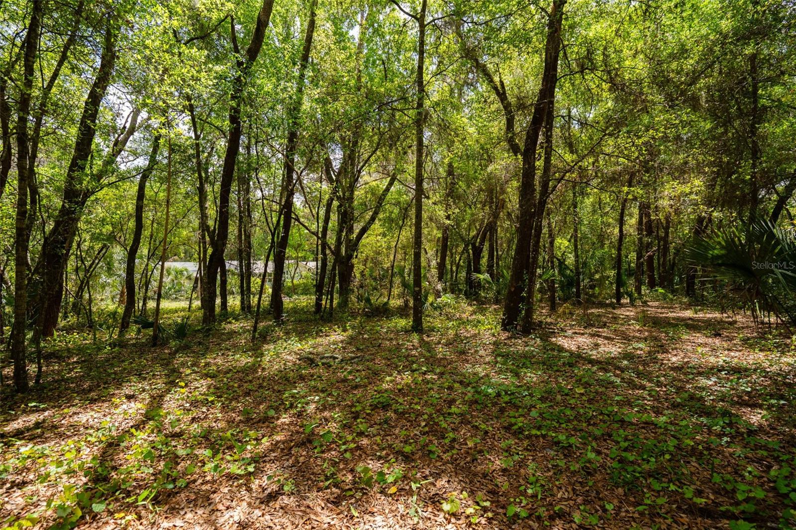 TRILBY BEND - Residential