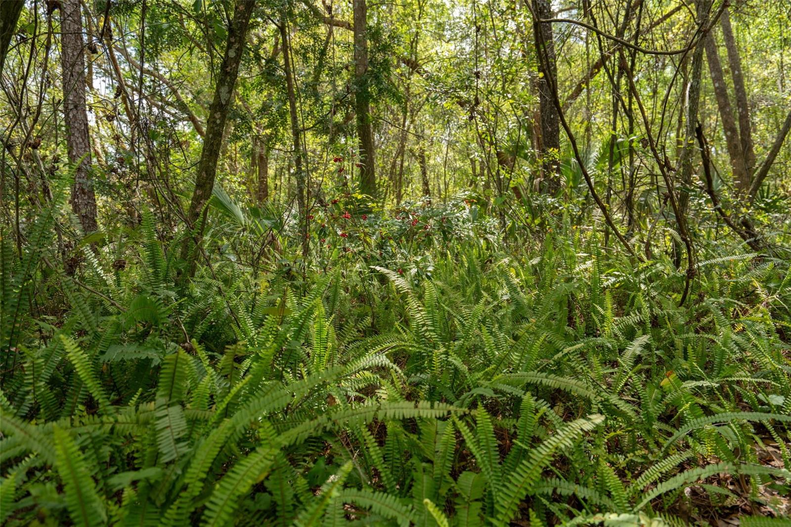 TRILBY BEND - Residential