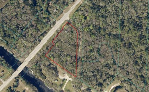 Photo of 9591 SE Highway 464c, Ocklawaha, FL 32179 (MLS # OM717190)