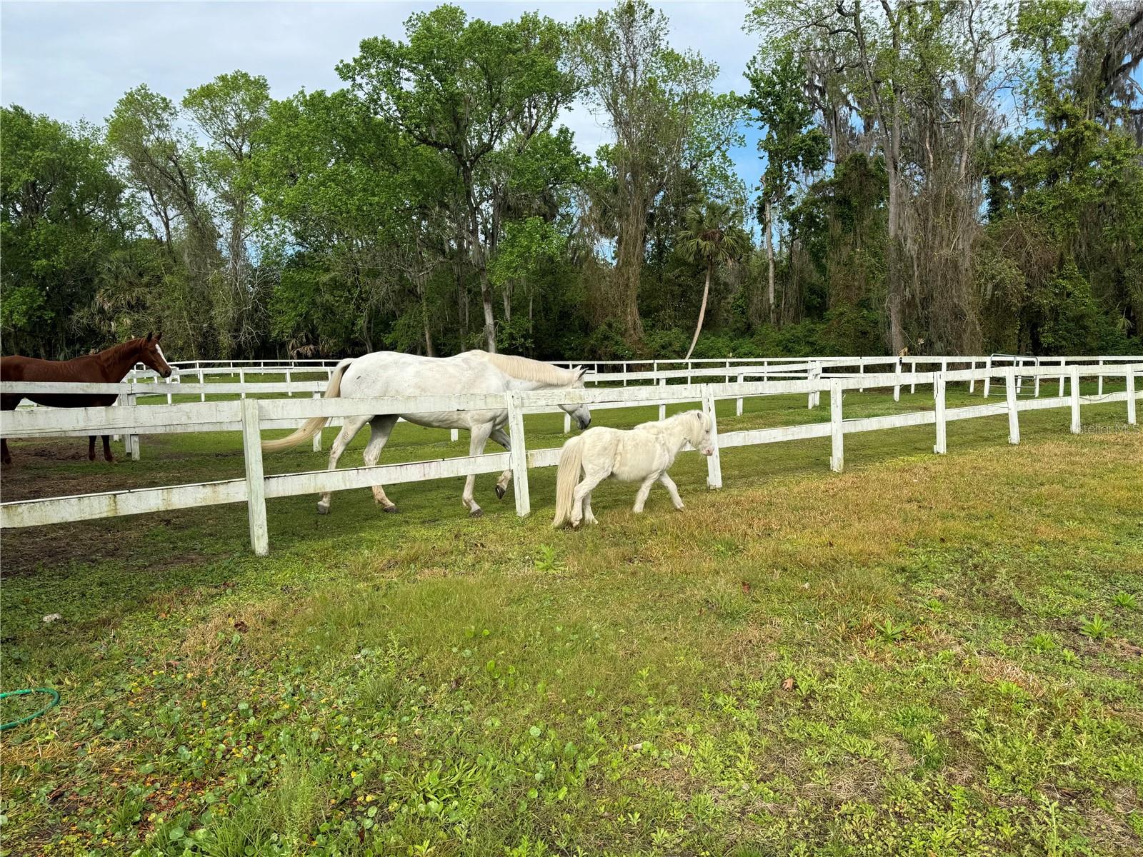 CROWN OAKS 1ST ADD - Residential