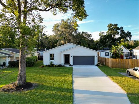 25405 CARNOUSTIE DRIVE MOUNT PLYMOUTH FL 32776