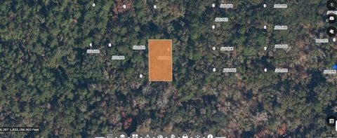 PARADISE LAKES AVENUE GEORGETOWN FL 32139