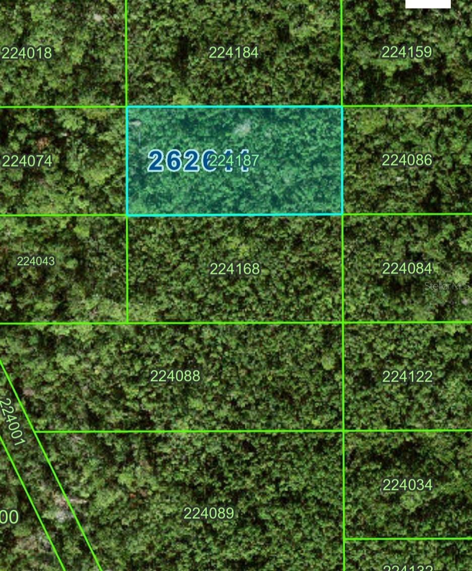 Vacant Lot is landlocked. Need to do your own due diligence and contact county for easement options to access property. Lot is locked in a growing area. Great for investment.