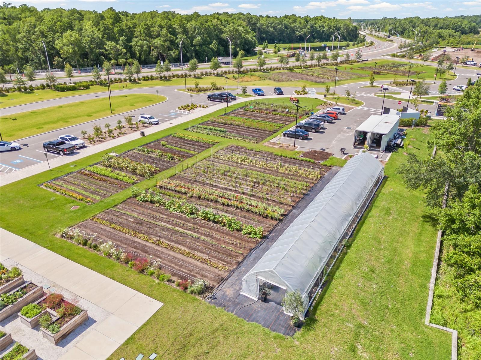 ANGELINE PH 3B-1 - Residential Lease