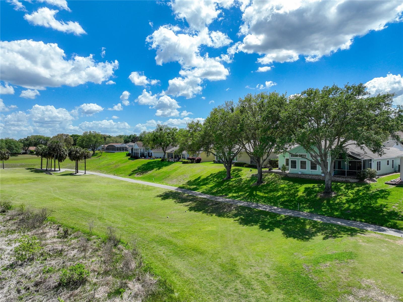 PLANTATION AT LEESBURG SAWGRASS VILLAGE - Residential