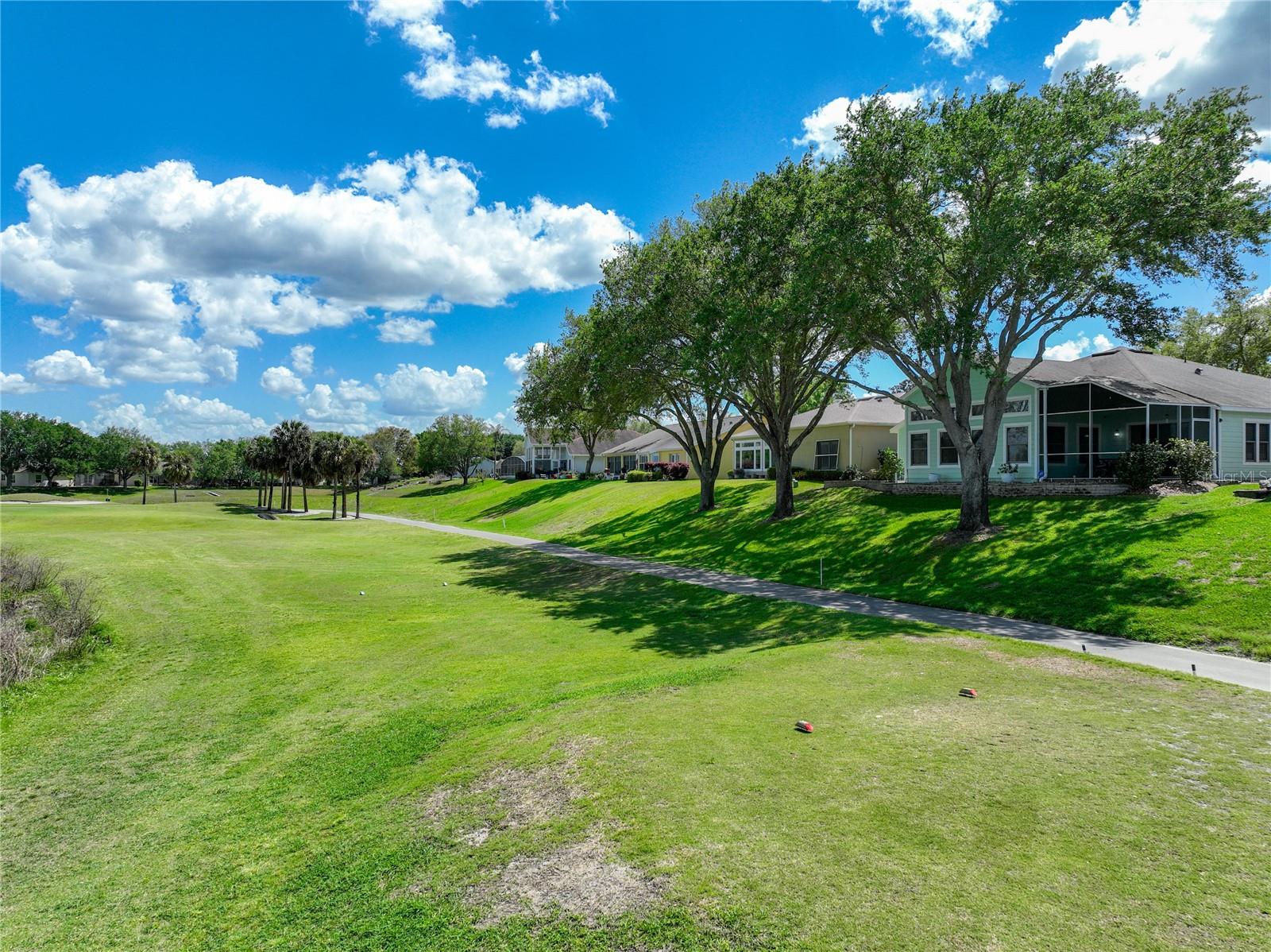 PLANTATION AT LEESBURG SAWGRASS VILLAGE - Residential