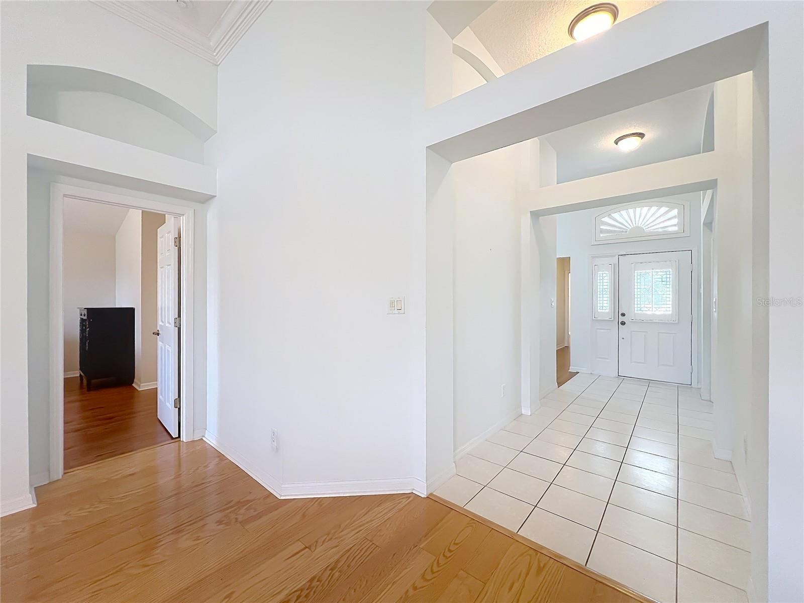 PLANTATION AT LEESBURG SAWGRASS VILLAGE - Residential