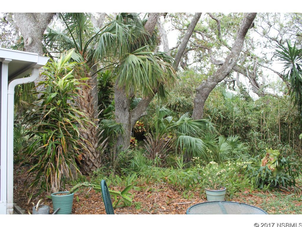 New Smyrna Beach - Residential