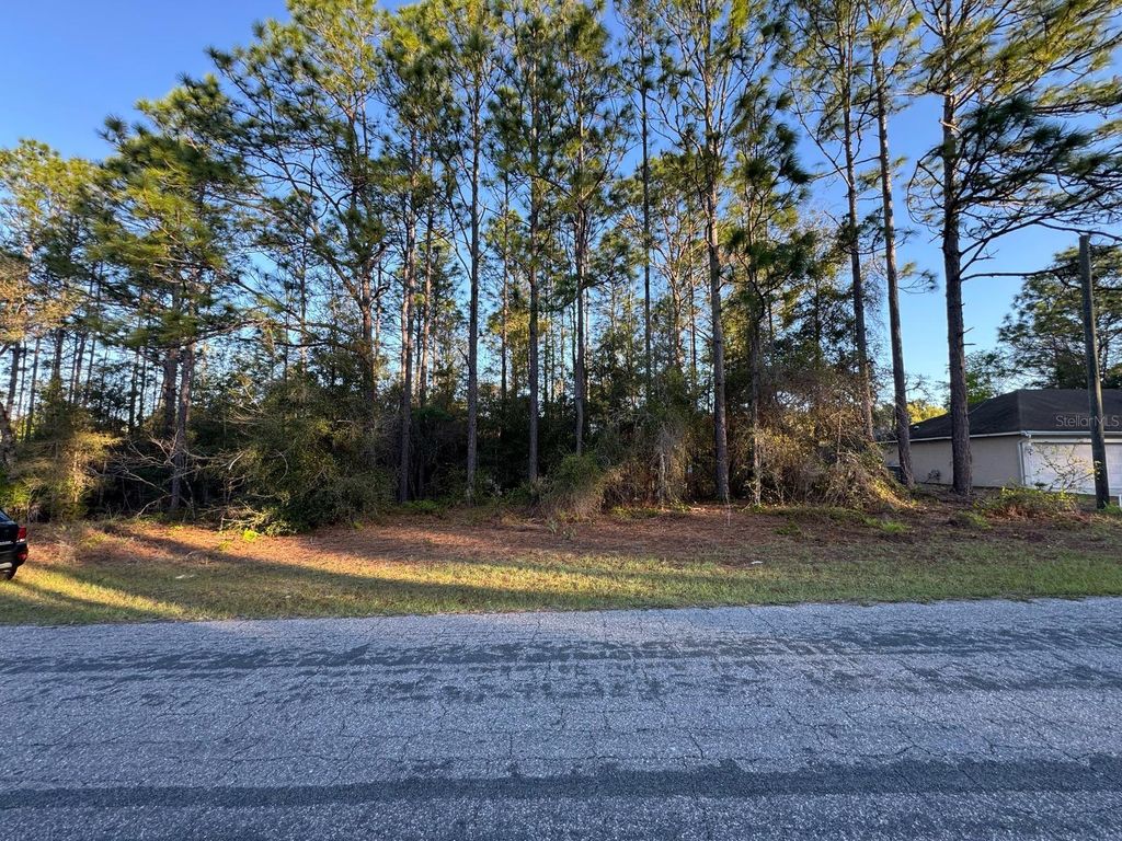 Photo of 7974 N Sarazen Drive, Citrus Springs, FL 34434 (MLS # O6308535)