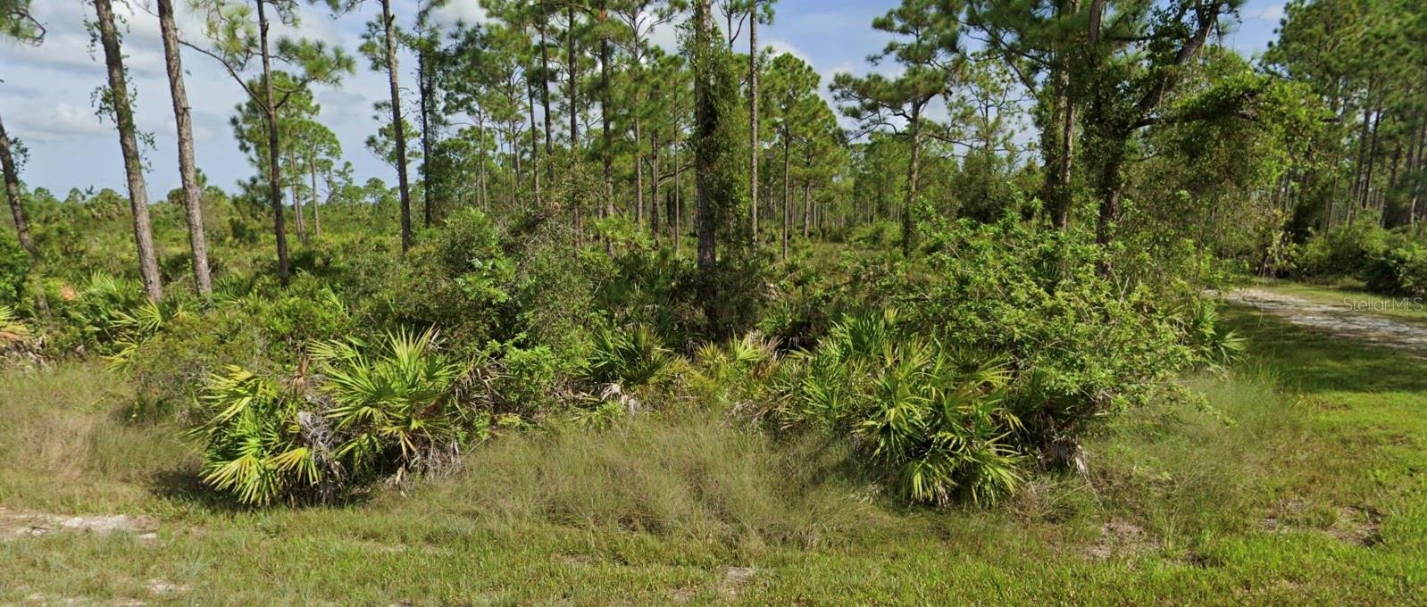 Great lot in Punta Gorda. Don't miss the opportunity to own a piece of paradise.
